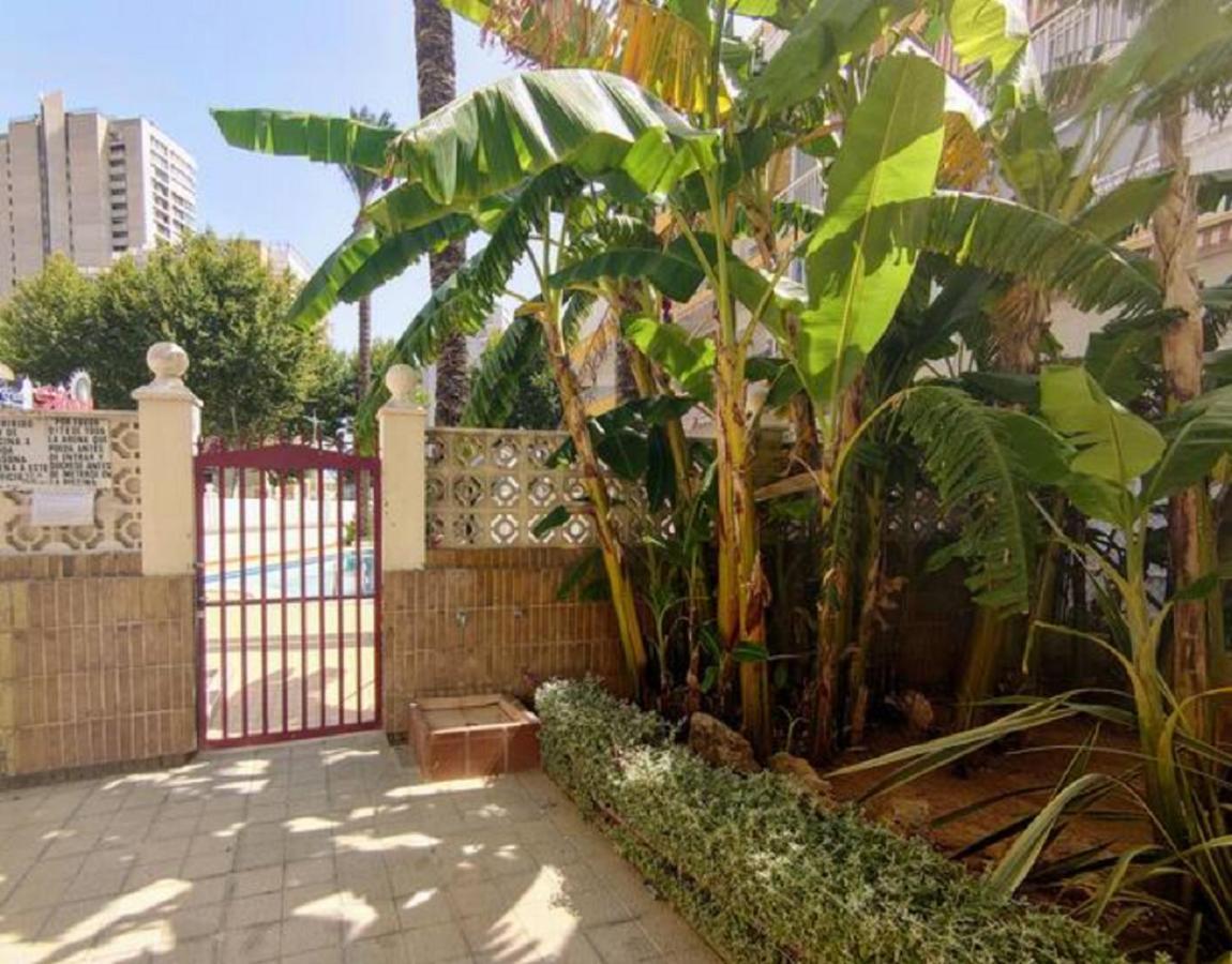Appartement Benidorm Rocas One, Un Oasis A 100 Metros Del Mar Extérieur photo